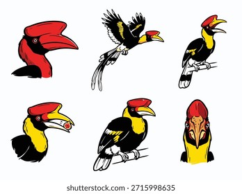 A set of six distinct cartoon-style illustrations showcasing hornbills in various poses and perspectives, highlighting their unique features.