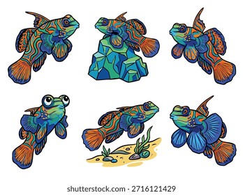 A set of six distinct illustrations featuring vibrant mandarin fish in various poses and settings, including one on a coral reef.