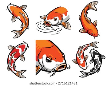 A set of six distinct illustrations featuring vibrant koi fish in various poses and close-ups, showcasing their distinctive patterns and aquatic nature.