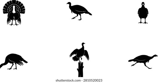 Set of six distinct turkey silhouettes featuring various poses including display, profile, front view, pecking, perched, and walking for creative and commercial projects