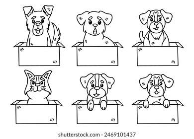 A set of six dogs are sitting in boxes with a blank sign in the middle. The dogs are all different breeds and sizes, and they seem to be enjoying their time in the boxes