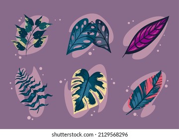 set of six elegants plants