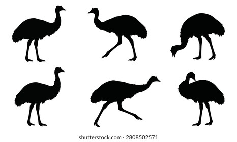 A set of six Emus Walking in Formation silhouette vector illustration on a white background