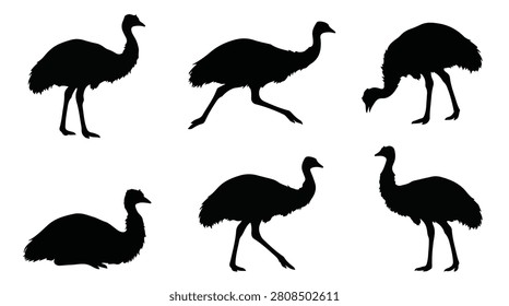 A set of six Emus Walking in Formation silhouette vector illustration on a white background