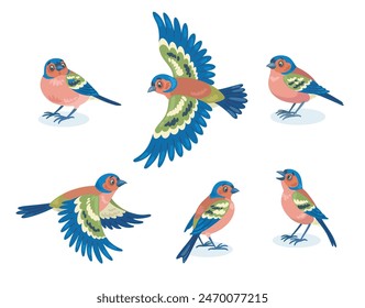 Set of six finch birds flying, singing and sitting. In cartoon style. Isolated on white background. Vector flat illustration.