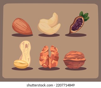 set of six flat kinds of nuts