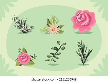 set of six flats flowers