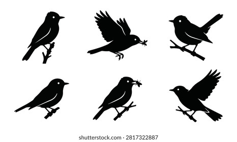 A set of six flycatcher bird in various poses line-art vector icon illustrations on a white background