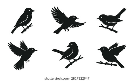 A set of six flycatcher bird in various poses line-art vector icon illustrations on a white background
