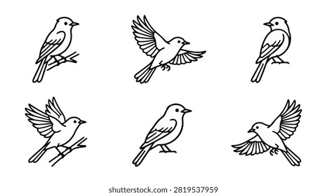 A set of six flycatcher bird in various poses line art vector icon illustrations on a white background