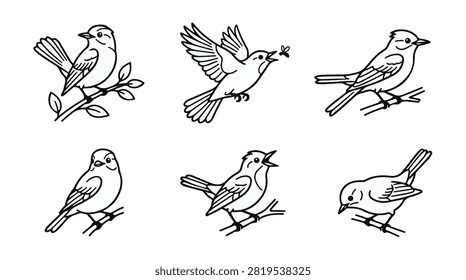 A set of six flycatcher bird in various poses line art vector icon illustrations on a white background