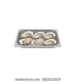 Set of six fresh open oysters on a metal tray platter, luxury seafood appetizer vector illustration