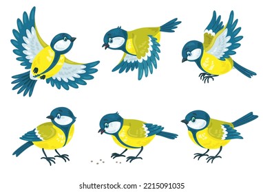 Set of six funny colorful titmouse in different poses. They sit, fly and peck. In cartoon style. Isolated on white background. Vector flat illustration.