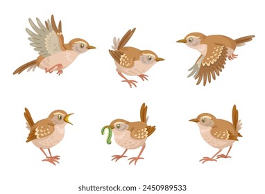 Conjunto de seis pájaros raros divertidos, sentados, volando, cantando, comiendo. En estilo de dibujos animados. Aislado sobre fondo blanco. Ilustración plana de Vector.