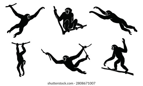 A set of six gibbon monkeys swinging, various poses silhouette vector illustration on a white background