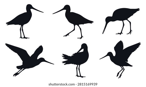 A set of six godwit birds in various poses silhouette vector icon illustrations on a white background