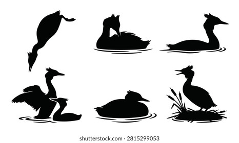 A set of six grebe bird with ducklings in various poses silhouette vector icon illustrations on a white background