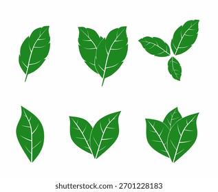 Conjunto de seis folhas verdes em estilo de vetor plano. Simples ilustração botânica perfeita para design ecológico, logotipo da natureza, produtos orgânicos e projetos ambientais.
