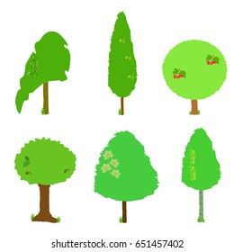 Set of six green trees: willow, poplar, birch, oak, maple and viburnum isolated  on white background.Vector illustration