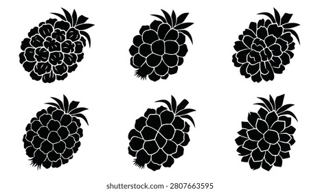 A set of six hala fruit silhouette vector illustration on a white background