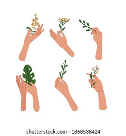 Set of six hand-drawn female elegant hand holding plants and flowers used in cosmetics. Vector flat illustration isolated on a white background. Decorative items for packaging body care products