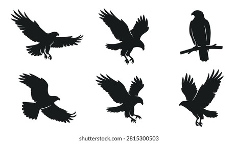 A set of six hawk bird with ducklings in various poses silhouette vector icon illustrations on a white background