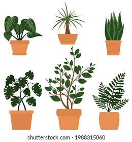 Set of six illustrations of cute cartoon home plants in pots. Vector for cards, invitations, sticker, banner