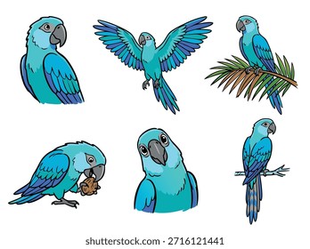 Eine Reihe von sechs Illustrationen mit blauen Aras in verschiedenen Aktionen wie fliegen, gehoben, und essen eine Nuss.
