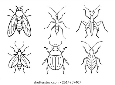 	
A set of six insect vector line art designs