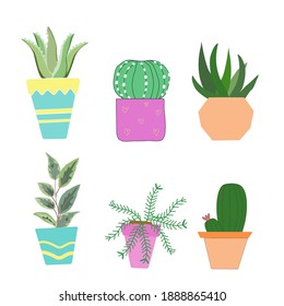 Set of six isolated cute cactus illustrations in pots and with plants and represent the potted of colorful colors on white background.