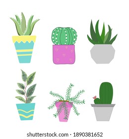 Set of six isolated cute cactus illustrations in pots and with plants and represent the potted of blue, pink, grey colors on white background.