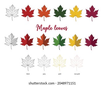 Conjunto de seis hojas de arce estilos de colores y cuatro contornos de diseño gráfico aislado en fondo blanco.