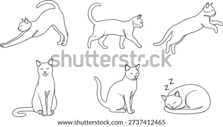 A set of six minimalist line art illustrations depicting cats in various common poses, including stretching, walking, jumping, sitting, and sleeping, all on a white background.