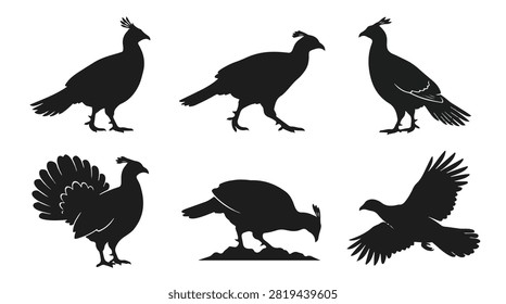 A set of six monal bird in various poses silhouette vector icon illustrations on a white background