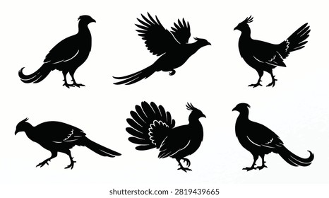 A set of six monal bird in various poses silhouette vector icon illustrations on a white background