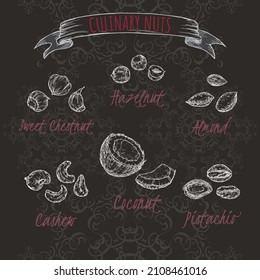 Set of six most common nuts - hazelnut, sweet chestnut, coconut, almond, pistachio, cashew on black. Hand drawn sketch. Culinary nuts series. Great for traditional medicine, cooking or gardening.