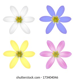 Set of Six Petal Flower. Vector illustration