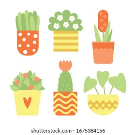 Conjunto de seis plantas en diferentes macetas. Ilustración del vector