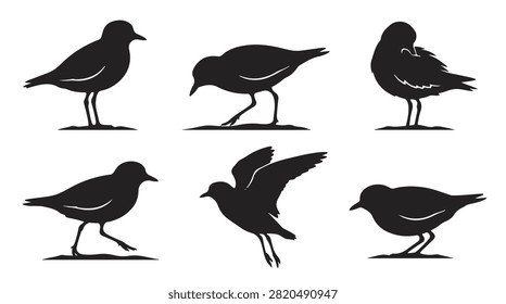 A set of six plover bird in various poses silhouette vector icon illustrations on a white background
