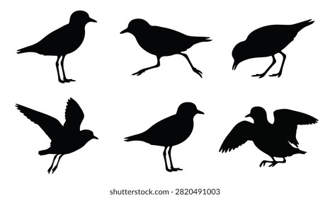 A set of six plover bird in various poses silhouette vector icon illustrations on a white background
