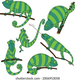 Set of six poses of striped chameleon illustrations