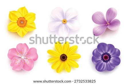 A set of six realistic 3D spring flower icons including daffodil, cherry blossom, and anemone isolated on a white background.