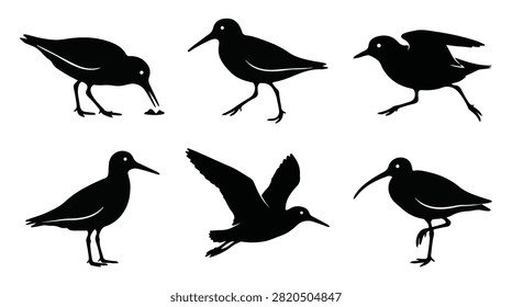 A set of six sandpiper bird in various poses silhouette vector icon illustrations on a white background
