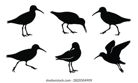A set of six sandpiper bird in various poses silhouette vector icon illustrations on a white background