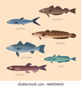 Set of six sea and ocean fish: sea trout, capelin, burbot, haddock, milkfish, hake in flat style. Cute cartoon flat design fishes in light background isolated.