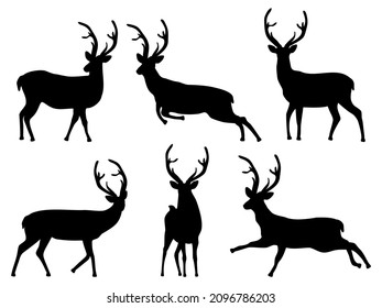 Set of six silhouettes of deer in different poses on a white background.