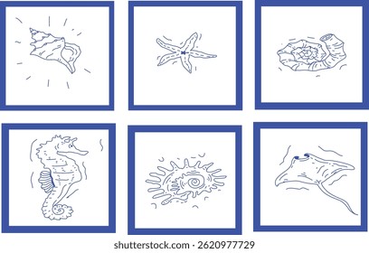 Set of Six Simple Blue Line Art Illustrations of Various Sea Creatures and Shells in Frames on a White Background