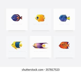 Set of six tropical fish game characters vector illustrations in geometric contemporary style. Queen, Flame, Rock Beauty Angelfish, Addis Butterflyfish, Regal Tang and Achilles Tang fish.