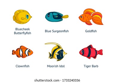 Set of six tropical fish with their names. Clownfish, goldfish, butterflyfish an others. Vector illustration in cartoon style