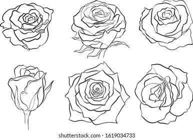 Set of six vector black silhouettes of rose flowers isolated on a white background.